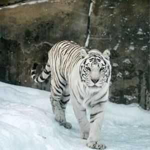 Meet your Posher, Keith